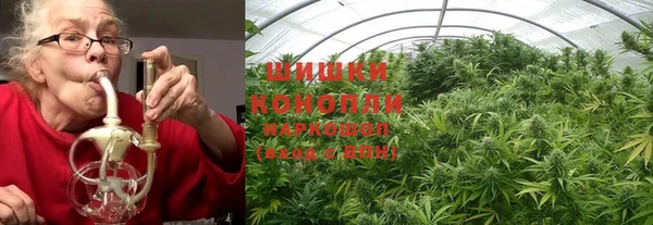 дурь Бронницы