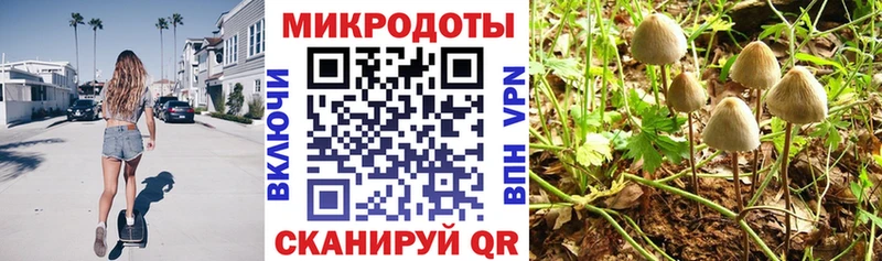 Галлюциногенные грибы прущие грибы  Нижний Новгород 